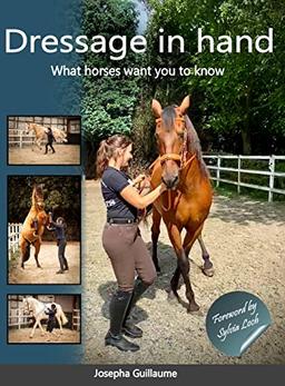 Dressage in hand: What horses want you to know