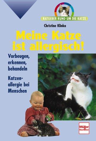 Meine Katze ist allergisch! Ratgeber rund um die Katze