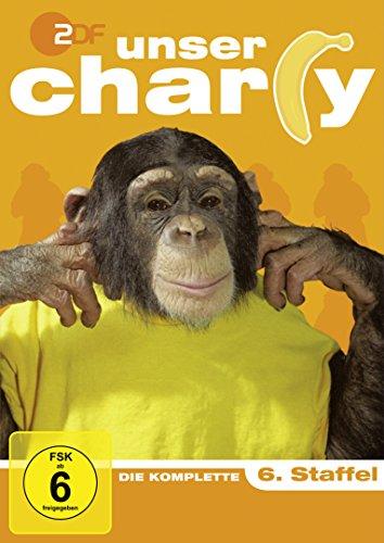 Unser Charly - Die komplette 6. Staffel [4 DVDs]