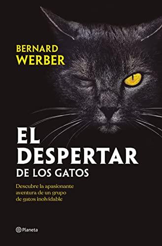 El despertar de los gatos (Planeta Internacional)