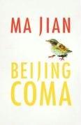 Beijing Coma