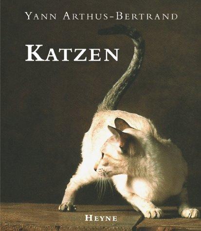 Katzen