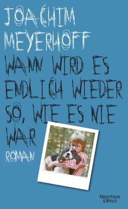 Wann wird es endlich wieder so, wie es nie war. Roman