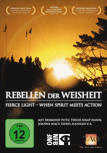 Rebellen der Weisheit: Fierce Light - When Spirit meets Action