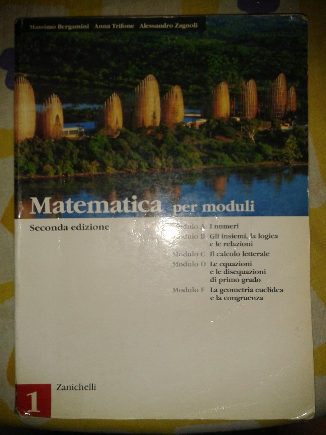 Matematica per moduli. Per le Scuole superiori (Vol. 1)