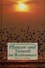 Pflanzen- und Tierwelt im Wattenmeer