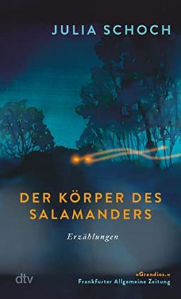 Der Körper des Salamanders: Erzählungen | Überarbeitete und erweiterte Neuausgabe von Julia Schochs »grandiosem Debüt« (FAZ)