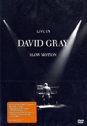 David Gray - Live in Slow Motion