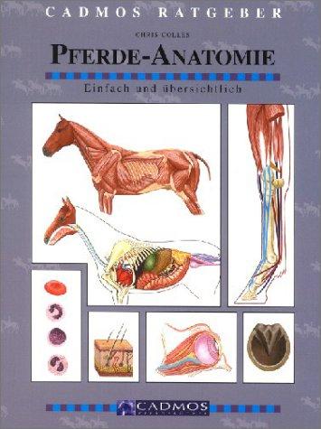 Pferde-Anatomie