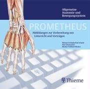 PROMETHEUS Allgemeine Anatomie und Bewegungssystem. DVD ab Windows 98 SE oder Mac . Abbildungen zur Vorbereitung von Unterricht und Vorträgen