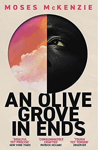 An Olive Grove in Ends: The dazzling debut novel about love, faith and community, by an electrifying new voice