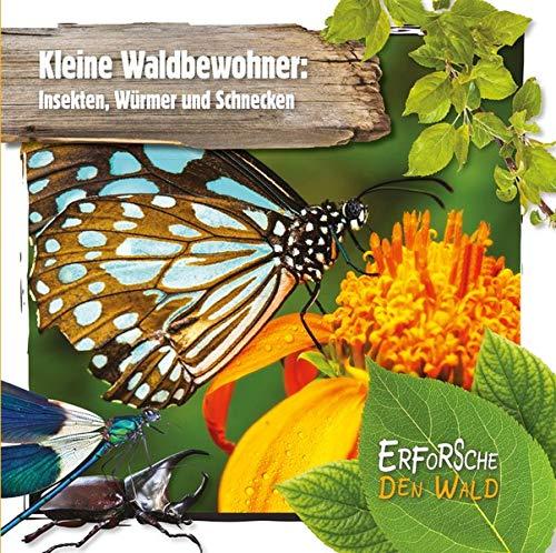 Kleine Waldbewohner: Insekten, Würmer und Schnecken: Erforsche den Wald