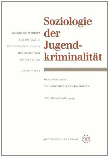 Soziologie der Jugendkriminalität