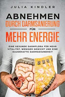 ABNEHMEN DURCH DARMSANIERUNG: Für eine gesunde Darmflora, für mehr Vitalität, weniger Gewicht und eine dauerhafte Darmgesundheit