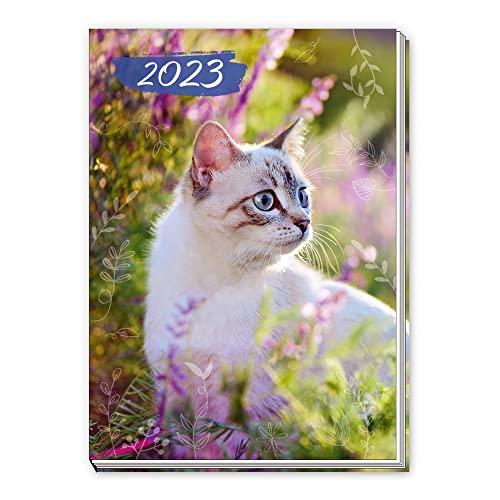 Trötsch Taschenkalender A7 Katze 2023: Mini-Terminkalender