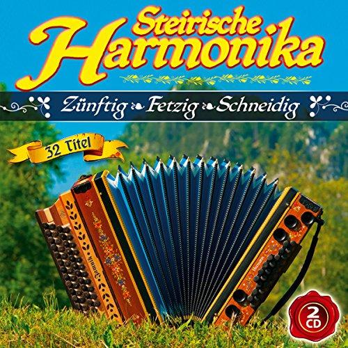 Steirische Harmonika; Zünftig Fetzig Schneidig; Pagger Buam; Junge Pseirer; Zillertaler Schürzenjäger; Zillertal Pur; Tonihof Buam; Pseirer Spatzen; Z 3 Die 3 Zillertaler; Tiroler Mander; Krochledern; Zillertaler Mander; Rene Kogler; Mihelic