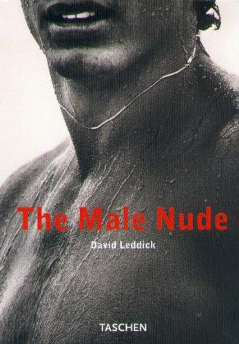 The male nude