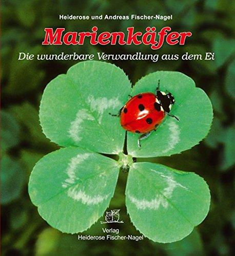 Marienkäfer: Die wunderbare Verwandlung aus dem Ei