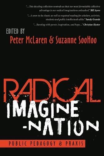 Radical Imagine-Nation: Public Pedagogy & Praxis (Education and Struggle, Band 13)