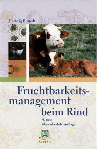 Fruchtbarkeitsmanagement beim Rind