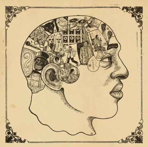 Phrenology [Edited]