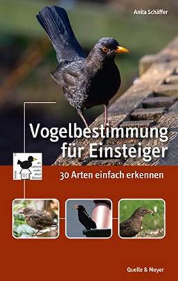 Vogelbestimmung für Einsteiger: 30 Arten einfach erkennen