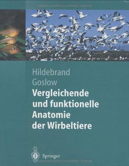 Vergleichende und funktionelle Anatomie der Wirbeltiere (Springer-Lehrbuch)