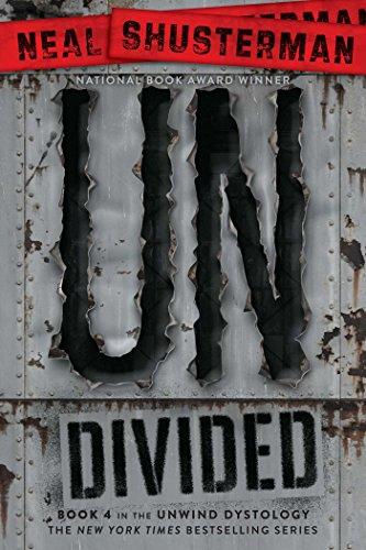 UnDivided (Unwind Dystology, Band 4)