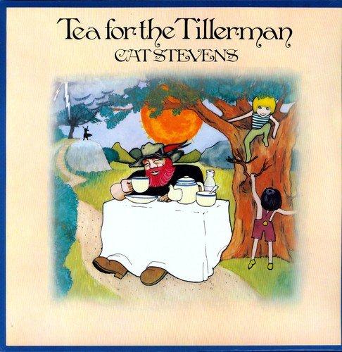 Tea For The Tillerman [Vinyl LP]