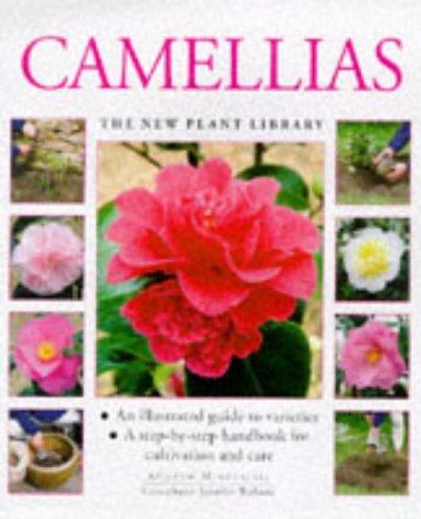 Camellias: A Step-by-step Handbook for Cultivation and Care (New Plant Library)