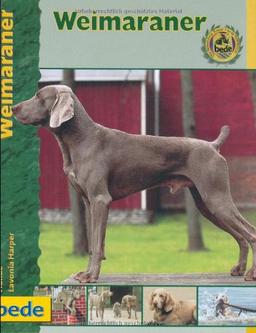 Weimaraner, Praxisratgeber