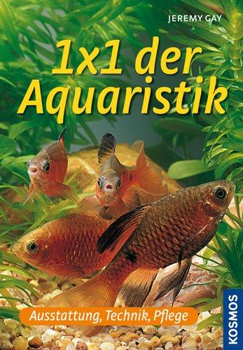 1 x 1 der Aquaristik: Ausstattung, Technik, Pflege