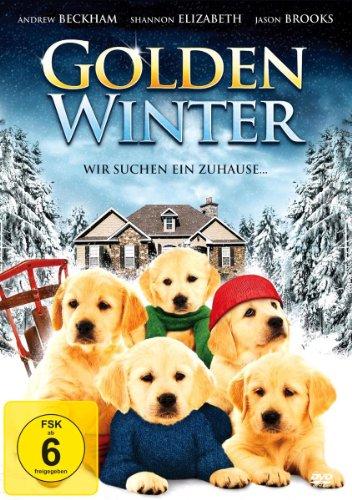 Golden Winter - Wir suchen ein Zuhause ...