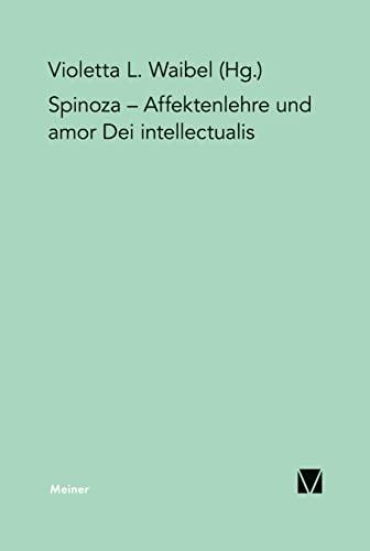 Affektenlehre und amor Dei intellectualis: Die Rezeption Spinozas im Deutschen Idealismus, in der Frühromantik und in der Gegenwart