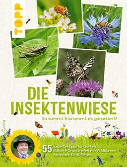 Die Insektenwiese: So summt & brummt es garantiert!: 55 Expertentipps für Garten, Balkon & Grünstreifen von Wildblumen-Fachmann Ernst Rieger