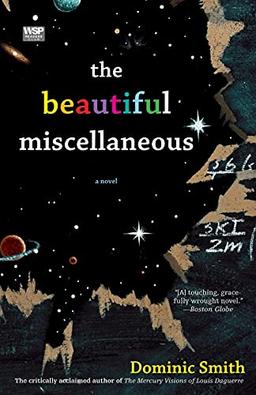 The Beautiful Miscellaneous: A Novel