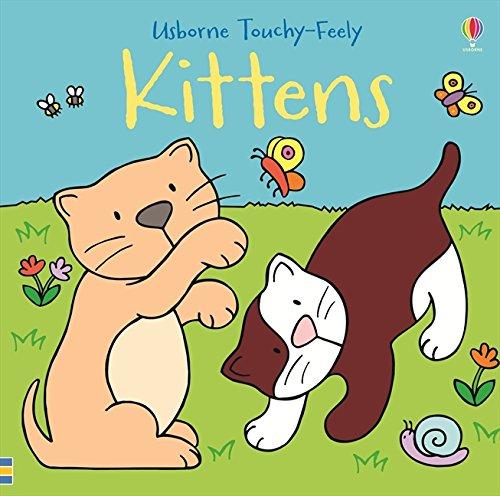 Touchy-feely Kittens (Touchy-Feely Books)