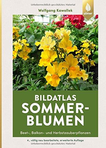 Bildatlas Sommerblumen: Beet-, Balkon- und Herbstzauberpflanzen (Bildatlanten)