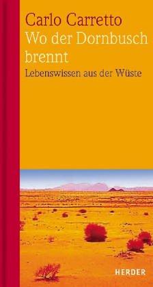 Wo der Dornbusch brennt. Geistliche Briefe aus der Wüste