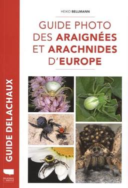 Guide photo des araignées et arachnides d'Europe : près de 400 espèces décrites