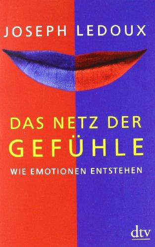 Das Netz der Gefühle: Wie Emotionen entstehen