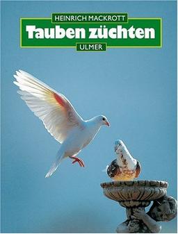 Tauben züchten