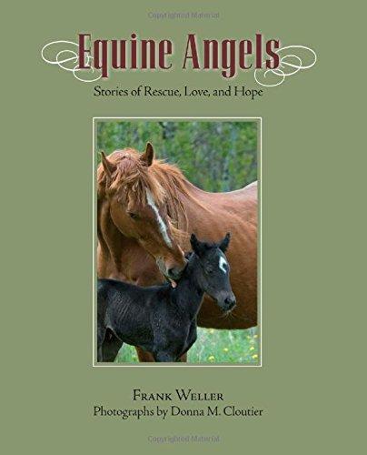 Equine Angels: Stories Of Rescue, Love, And Hope