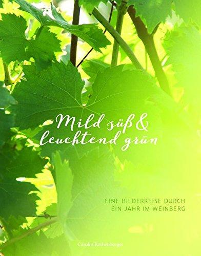 Mild süß & leuchtend grün: Eine Bilderreise durch ein Jahr im Weinberg