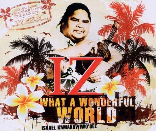 What a Wonderful World (2-Track)