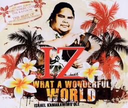 What a Wonderful World (2-Track)