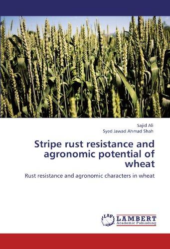 Stripe rust resistance and agronomic potential of wheat: Rust resistance and agronomic characters in wheat