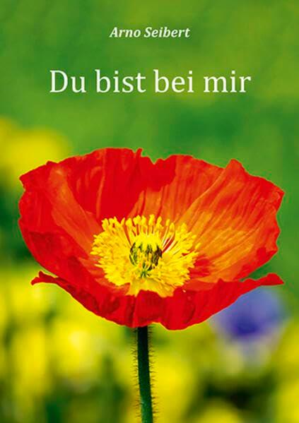 Du bist bei mir (Fundus-Reihe)