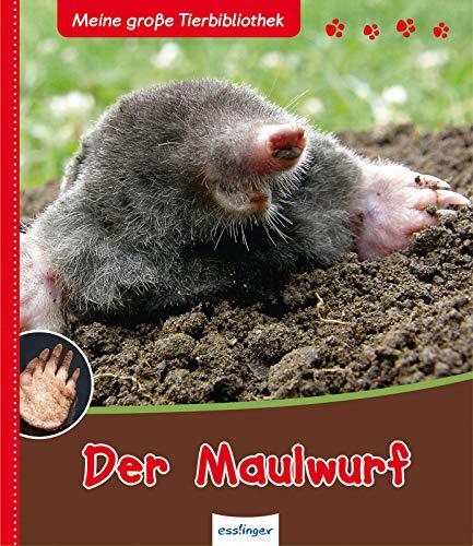 Der Maulwurf - Meine große Tierbibliothek