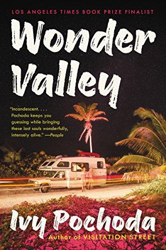 Wonder Valley: A Novel